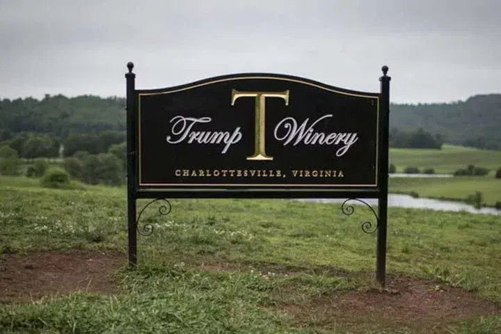 Winery in Charlottesville